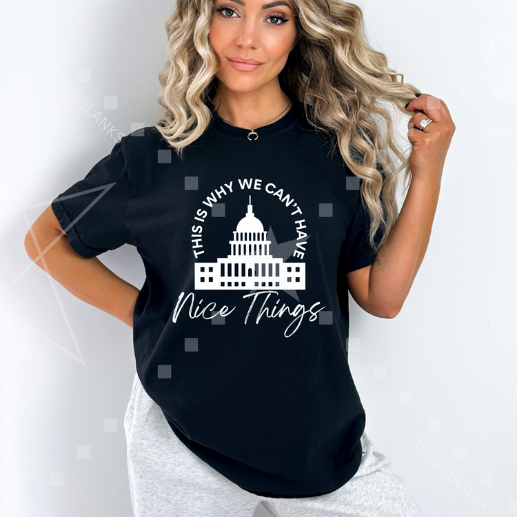 This Is Why We can't Have Nice Things Shirt