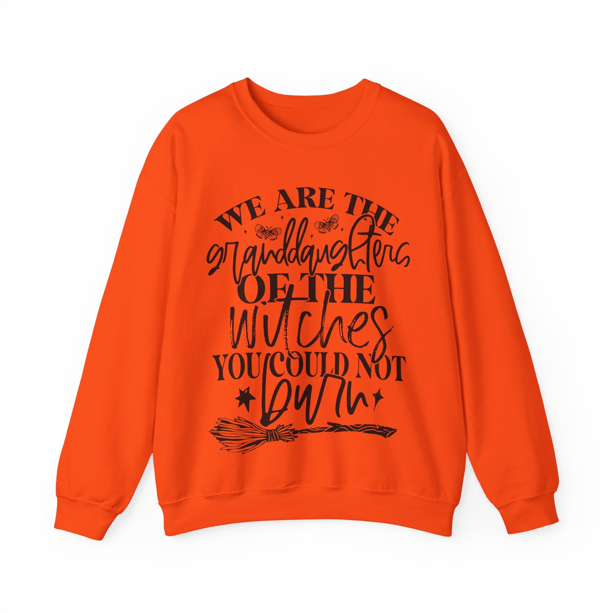 Witches your could not burn sweatshirt