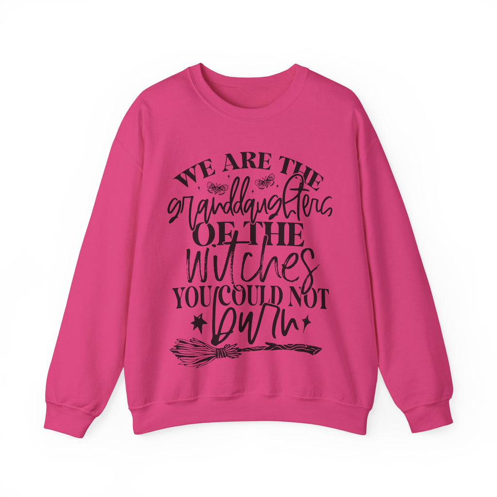 Witches your could not burn sweatshirt