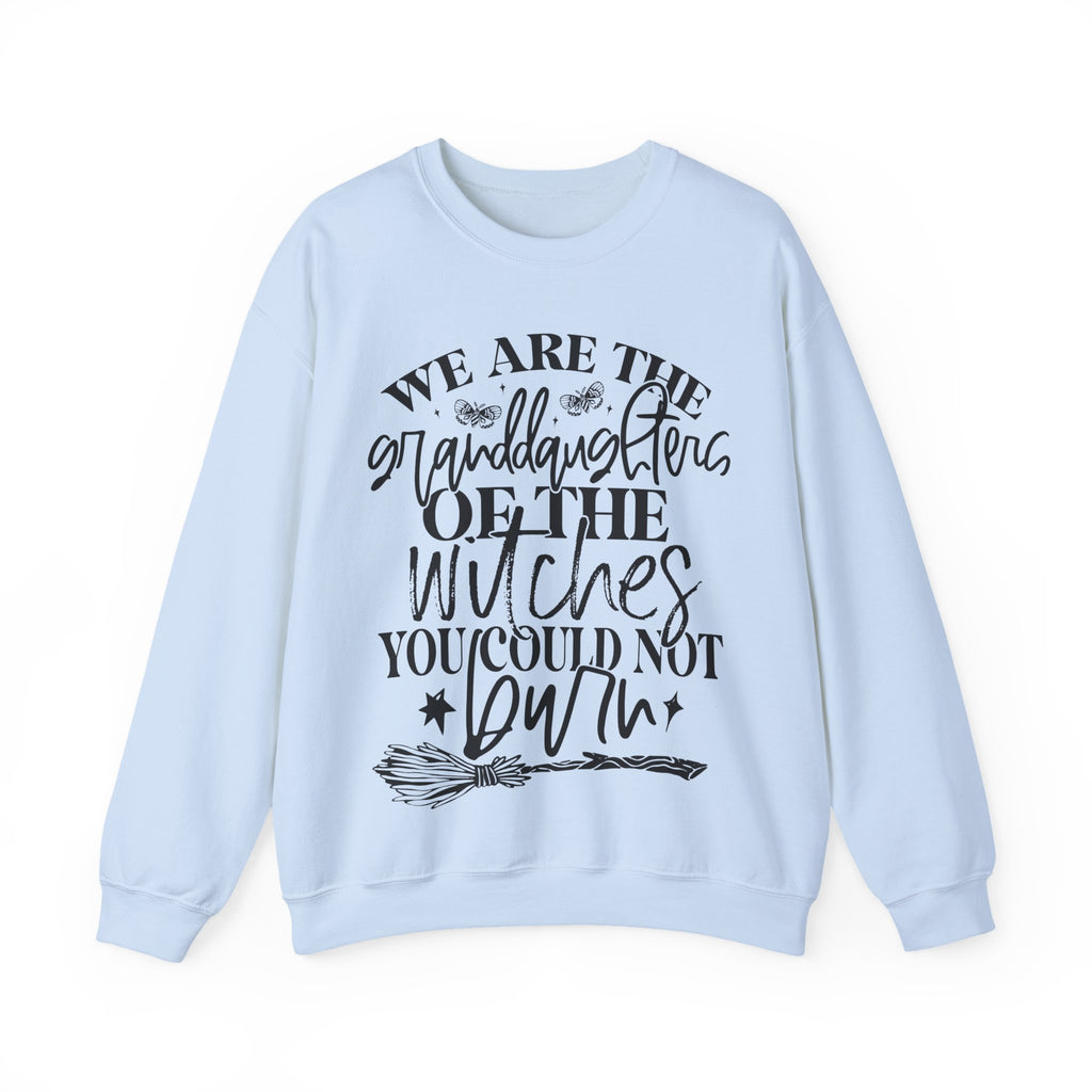 Witches your could not burn sweatshirt