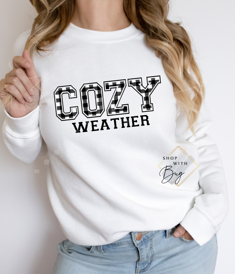 Cozy Weather CrewNeck or Hoodie
